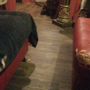 Meet your Posher, Phyllis